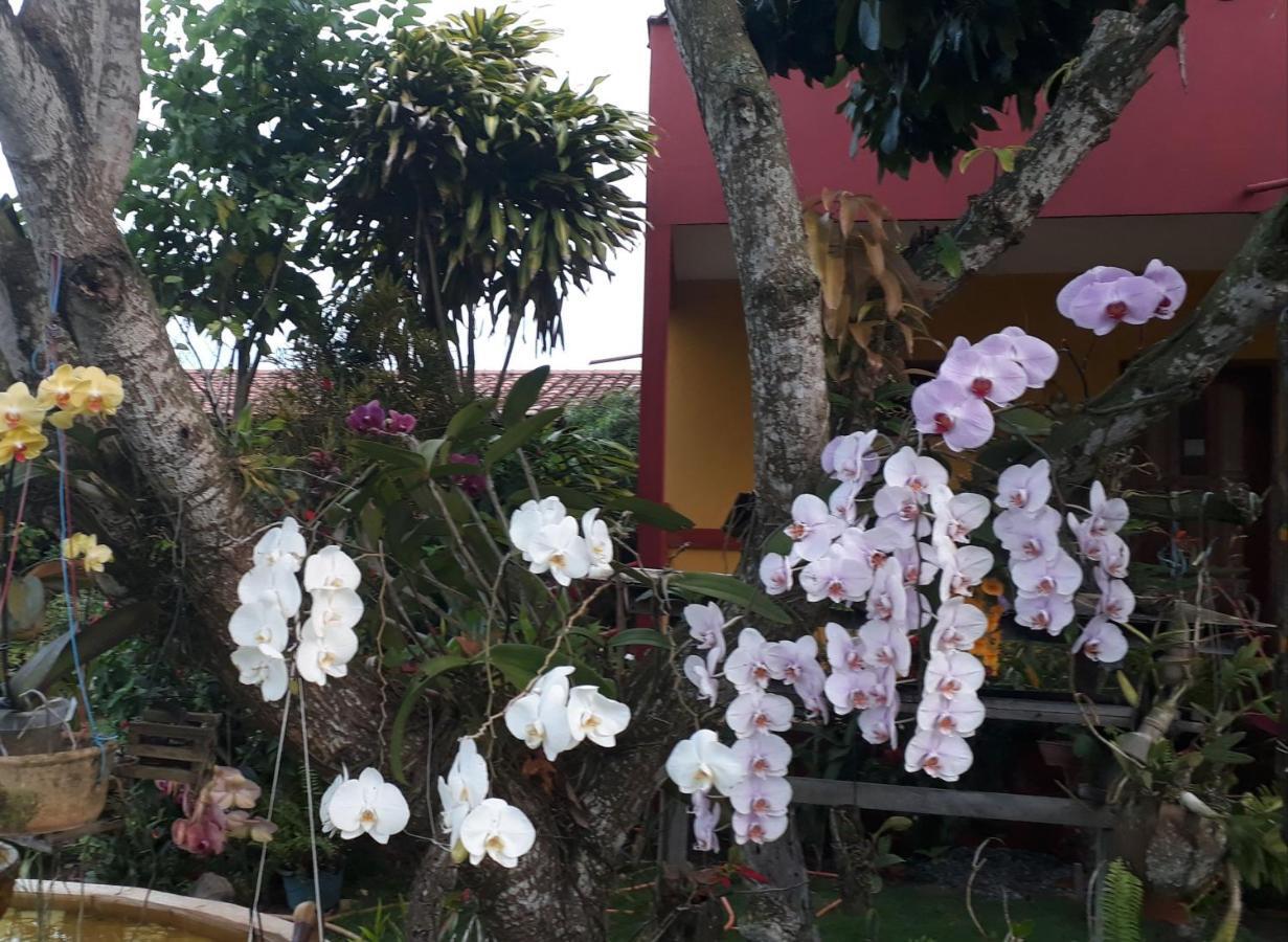 Pousada Bromelias - Suites E Aptos Nova Viçosa Zewnętrze zdjęcie